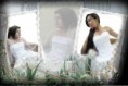 /album/vestidos-de-matrimonio/a10259966-1381753528774311-3149409230478872678-n-jpg/
